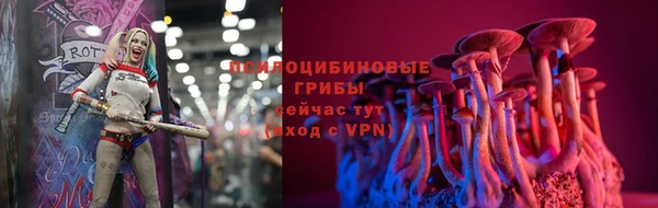 мет Аркадак