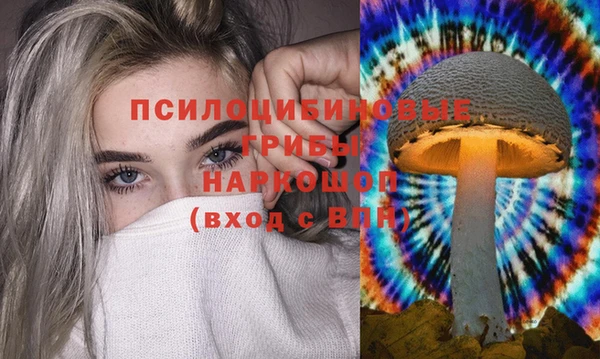 мет Аркадак