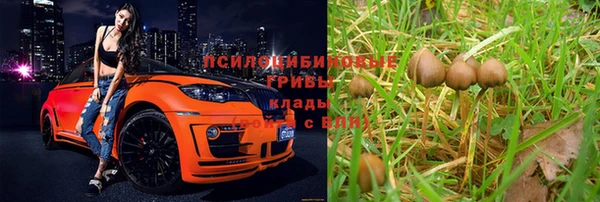 ALPHA PVP Армянск